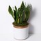 Artificial Moss : 60g Artificial Green Fake Moss for Crafts Decorative Artificial Faux Moss for Plant Craft Flower Garden Wedding Christmas Table Centerpieces Decor